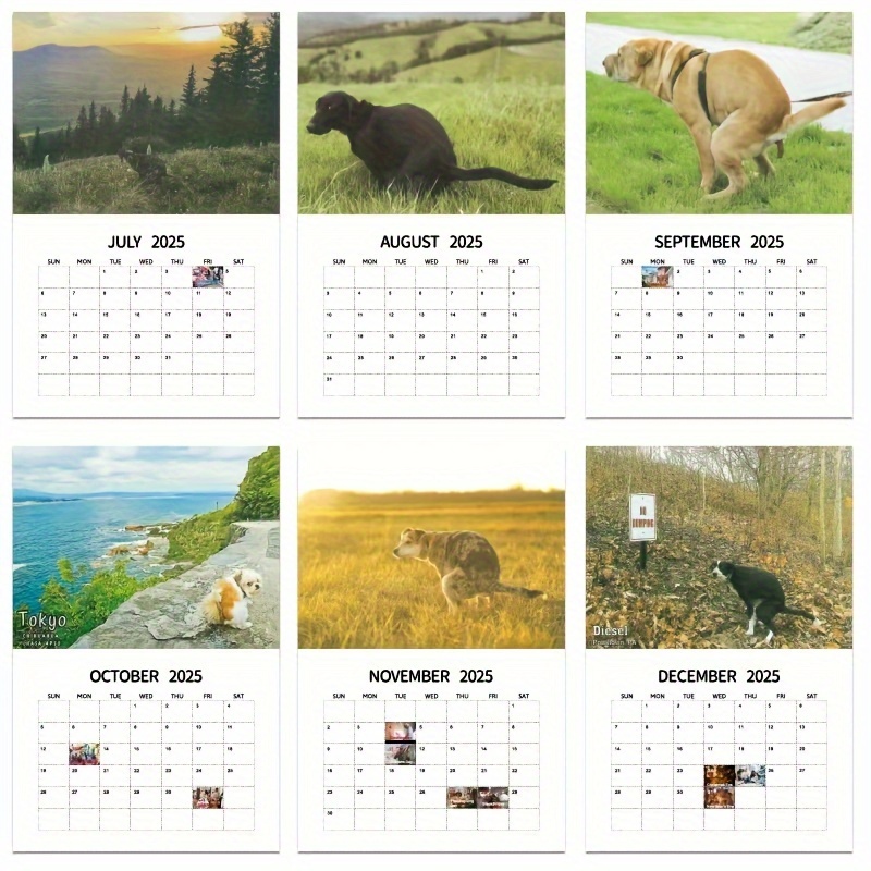 2025 Dog Poop Calendar Durable Full page Monthly Design Temu