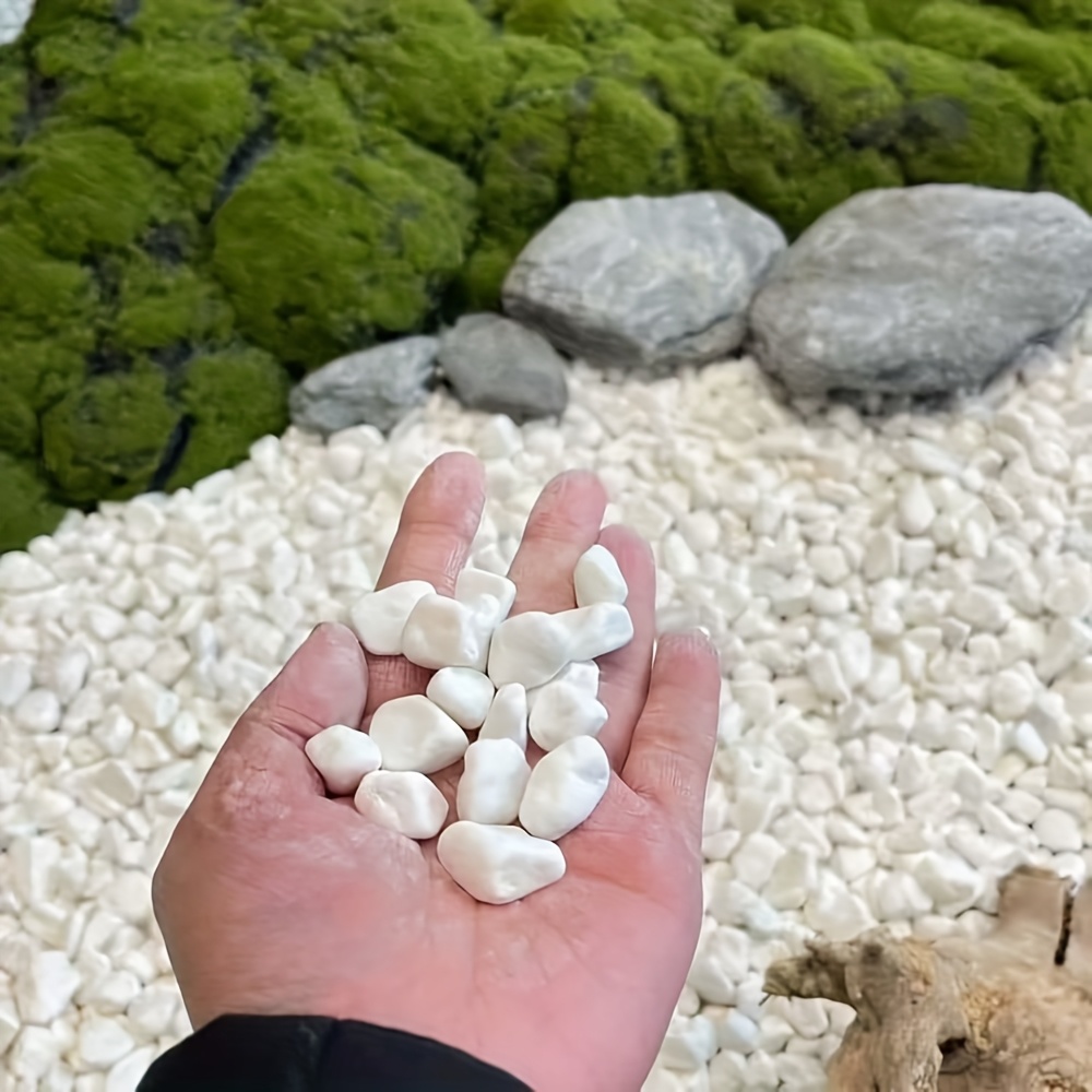 Guijarros Blancos de 1-3 cm, 300/600 g, Ideales para Decoración en Macetas y Paisajismo con Plantas o Flores, Adorno para Acuarios