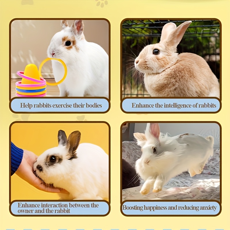 D809d9f8 Fbda 4c6c 8c1e 01143985a29f