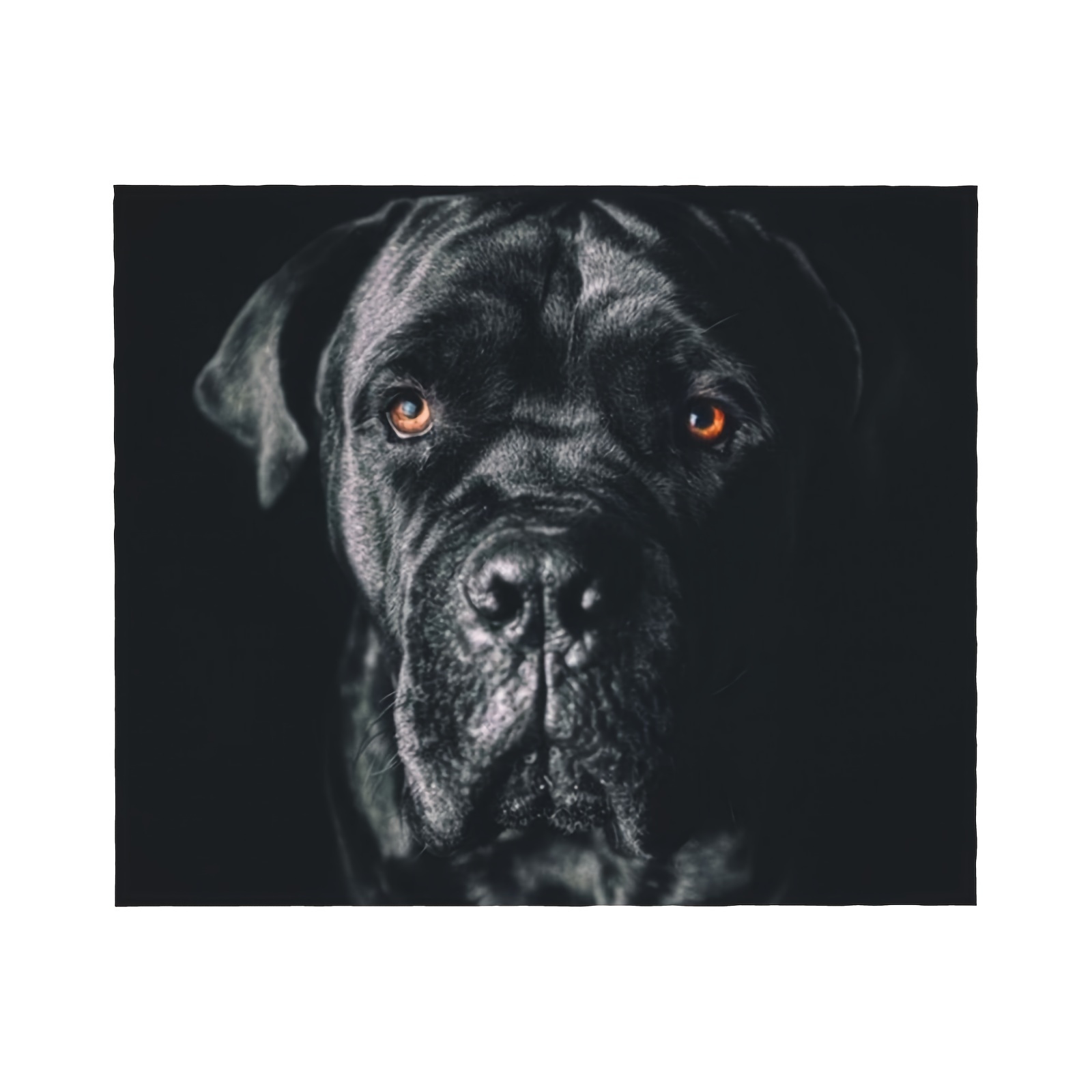 

Cane & Italian Mastiff Art Blanket - 50x40 Inch, Single-sided Print, Lightweight & Warm For Couch, Bed, And Camping