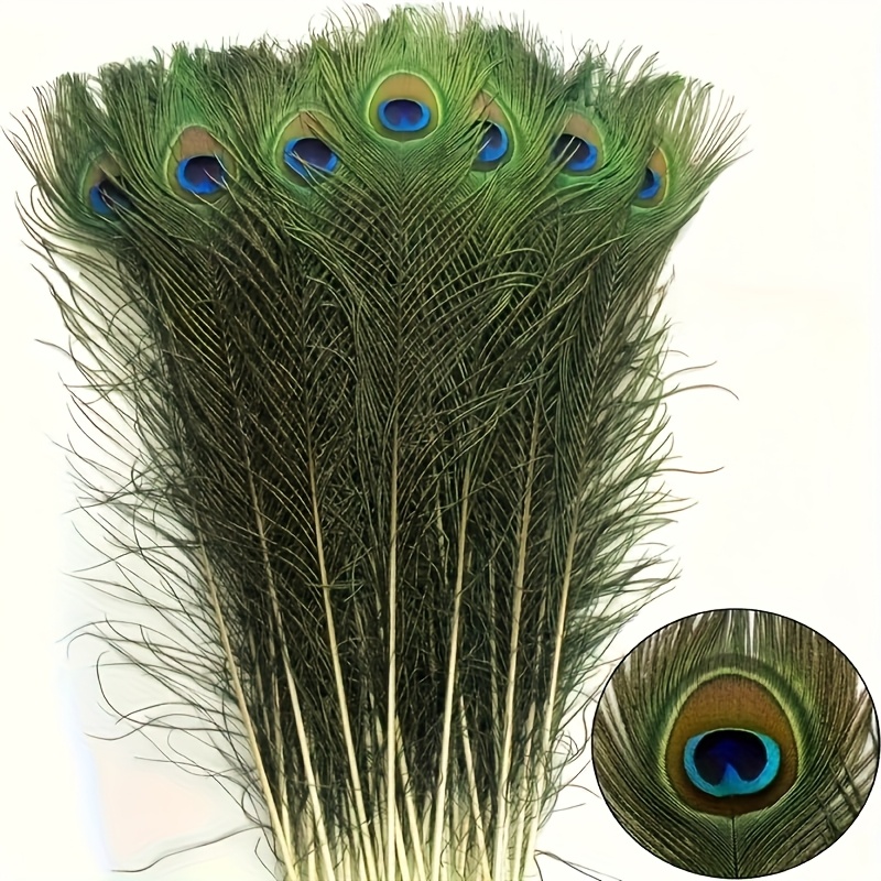16pcs Large 17-inch Natural Peacock Feathers Bulk Craft Feathers For Vase Fillers Centerpieces Holiday Party Decor Ideal For Wedding Valentine's Spring & More Elegant Event Decoration Supplies