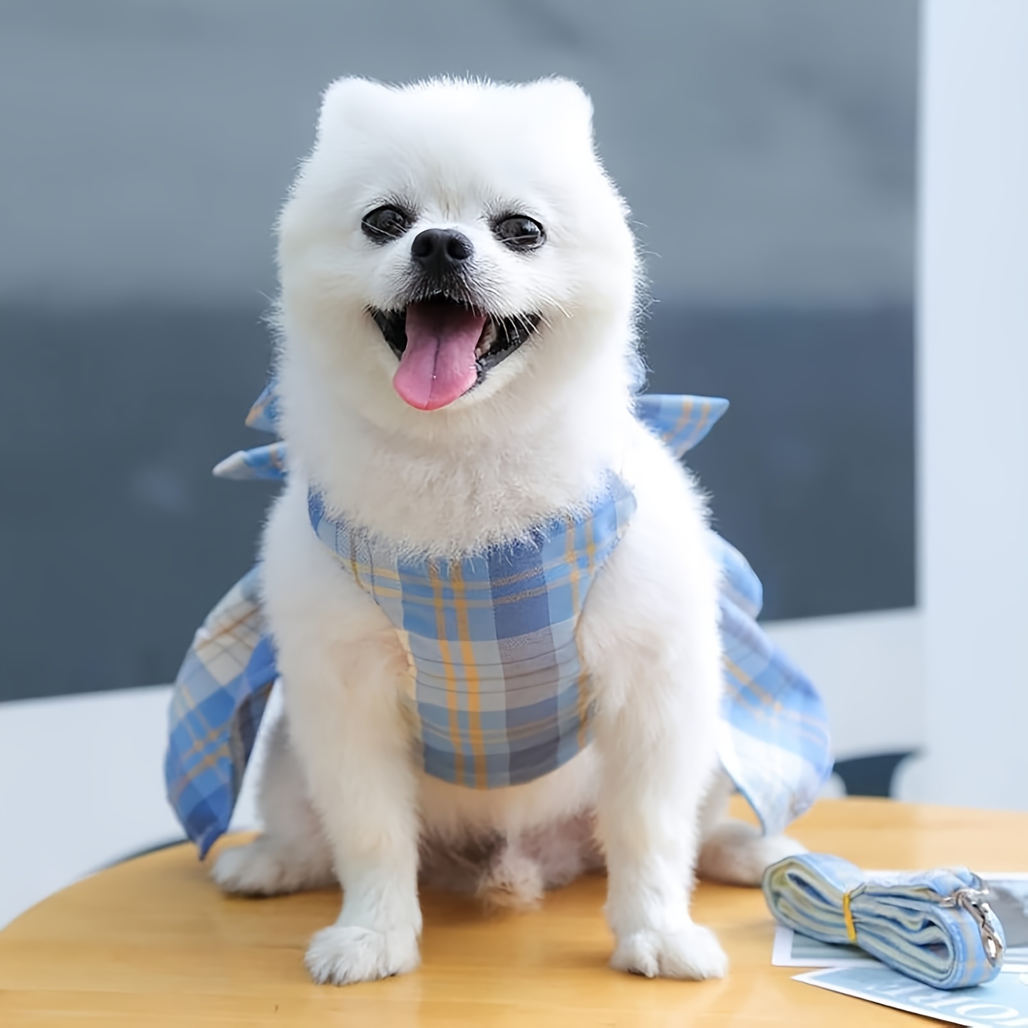 Dog Dress Bow Tie Harness and Leash Set