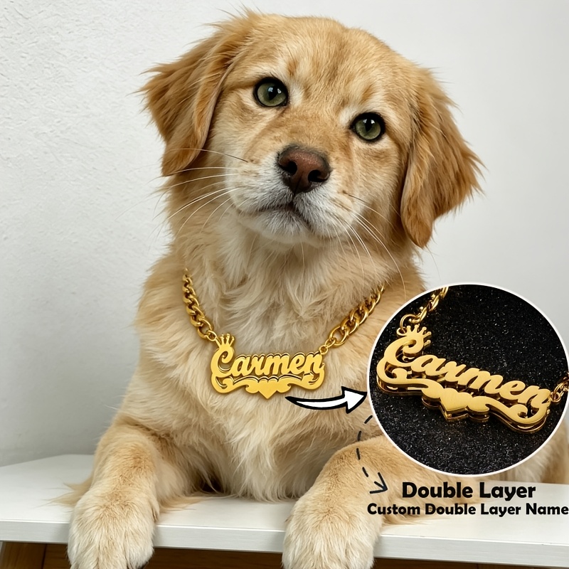 Custom Minimalist Double-Layer Name Dog Necklace