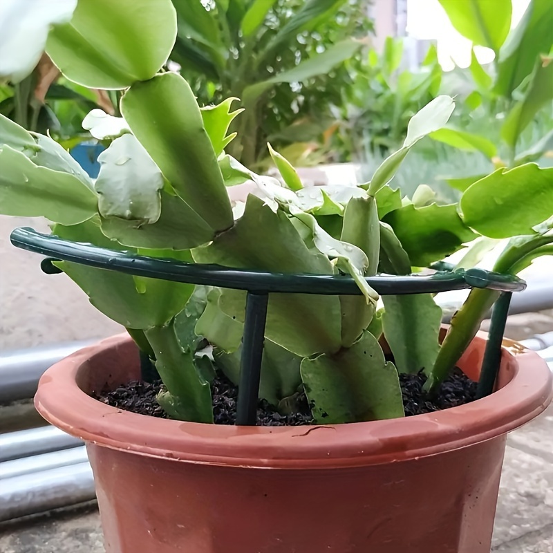 4pcs Greenhouse Plant Support Stakes, 24.99cm Semicircle Plastic Vine Climbing Brackets for Indoor Flowers & Garden Care, Arrangement, Pile Frame, Fixed Rod