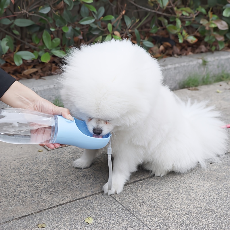 Outdoor Plastic Pet Water Feeder Cup for Cats and Dogs