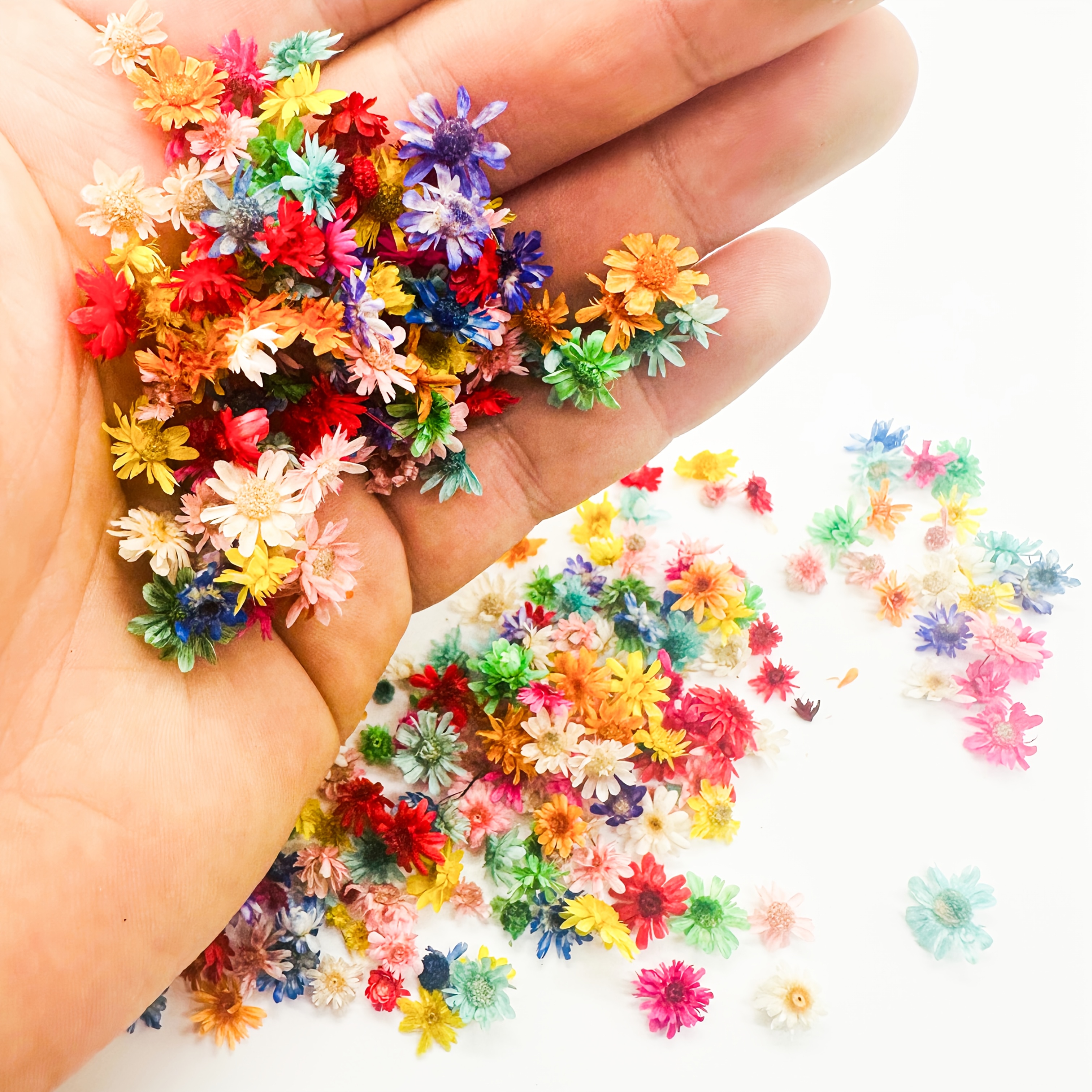 Image of Around 135 To 145 With Layered Petals In 12 Assorted Colors, Featuring Small Flowers Measuring 0.2 To 0.47 Inches, Ideal For Floral Projects. Suitable For Crafting Wreaths, Floral Displays, Shoe