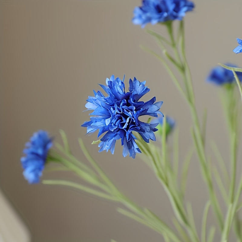 4 stck knstliche kornblumen  realistisch - Temu Austria
