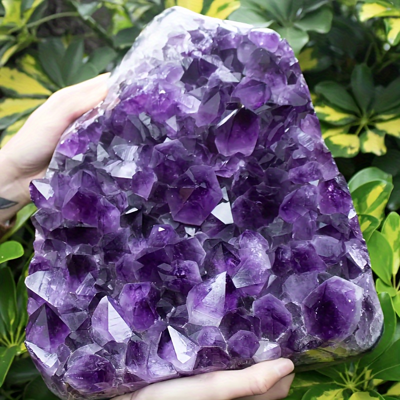 Matsuzay 20 tipos de minerales de piedra de ágata Natural de tamaño Mini,  fósiles para niños, cristalino en forma aleatoria para regalos de  Decoración del hogar