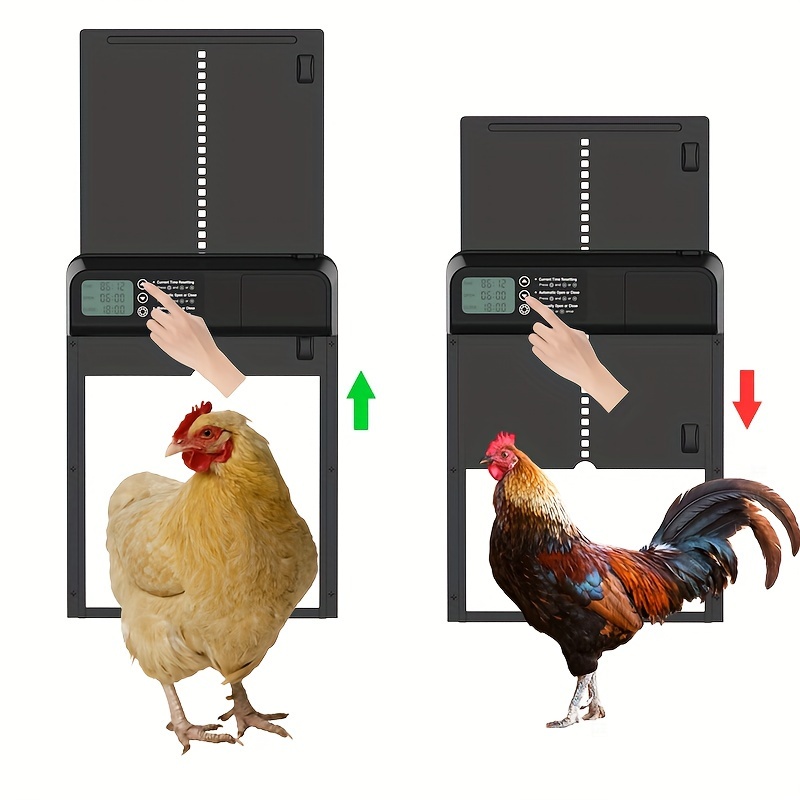 Backyard Livestock Temu United Kingdom