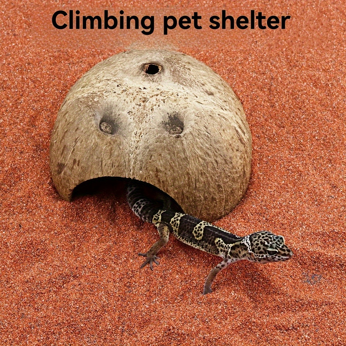 

Natural Coconut Shell Hideaway For Reptiles - Ideal For Lizards, Spiders, Snakes & Hamsters