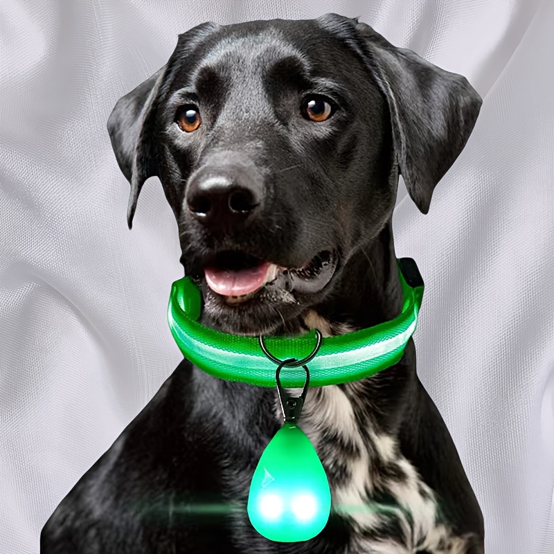 Leuchtendes Hundehalsband Wiederaufladbar Mit USB – Wasserdicht, 3 Lichtmodi, Verstellbar Für Alle Hundegrößen (Rot)