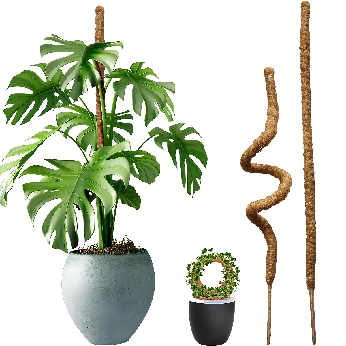 

2 Plant Support Cages With Coir Moss Pole - Extendable Plant Stakes For Climbing Indoor Potted Plants, Garden Aesthetics & Plant Growth