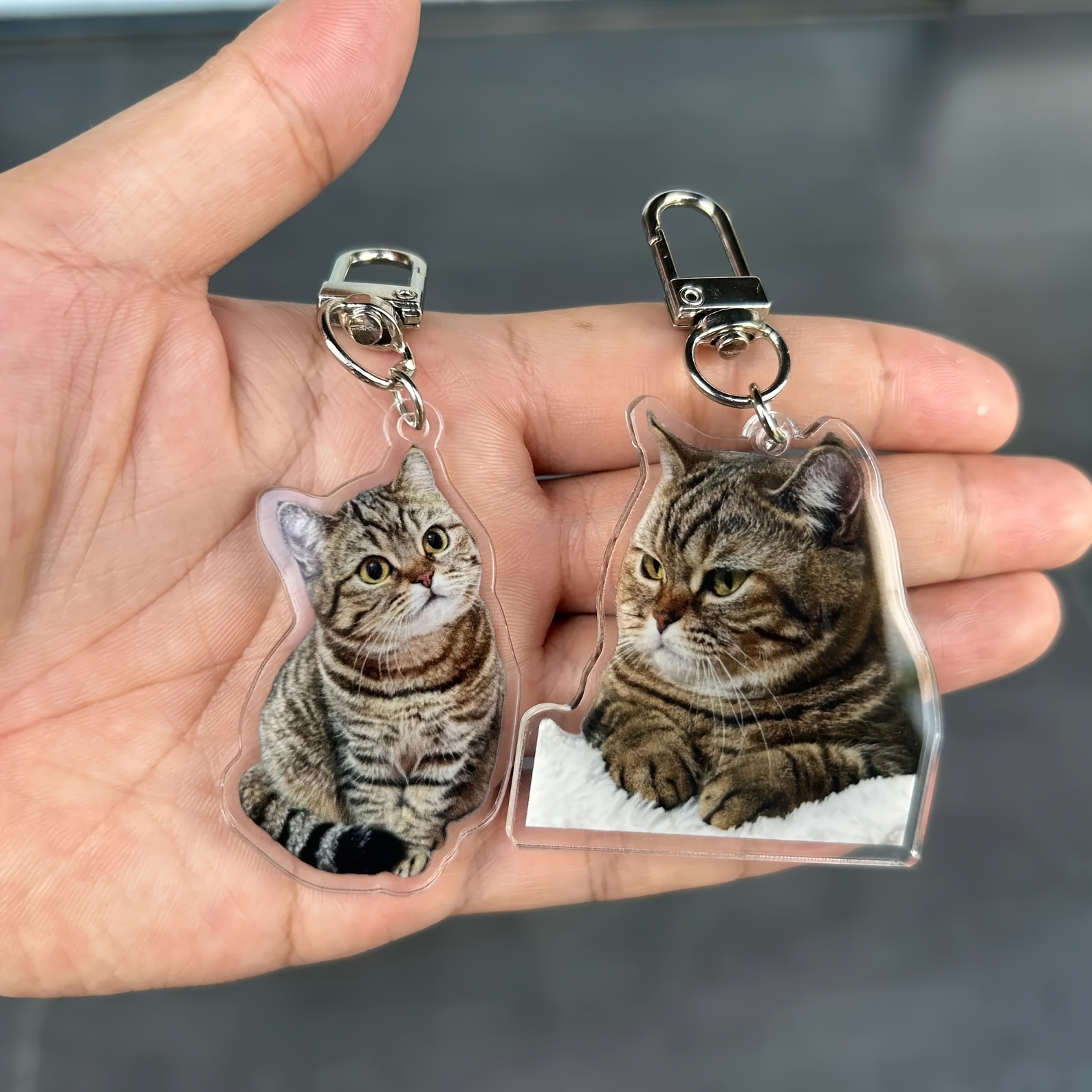 2d Flat - 1pc Customized 2d Flat Pet Photo Keychain, Customized Full Body Pet Photo, Personalized Pet, Customized Acrylic, Pet Portrait Keychain, Dog Keychain, Cat Keychain, Gift
