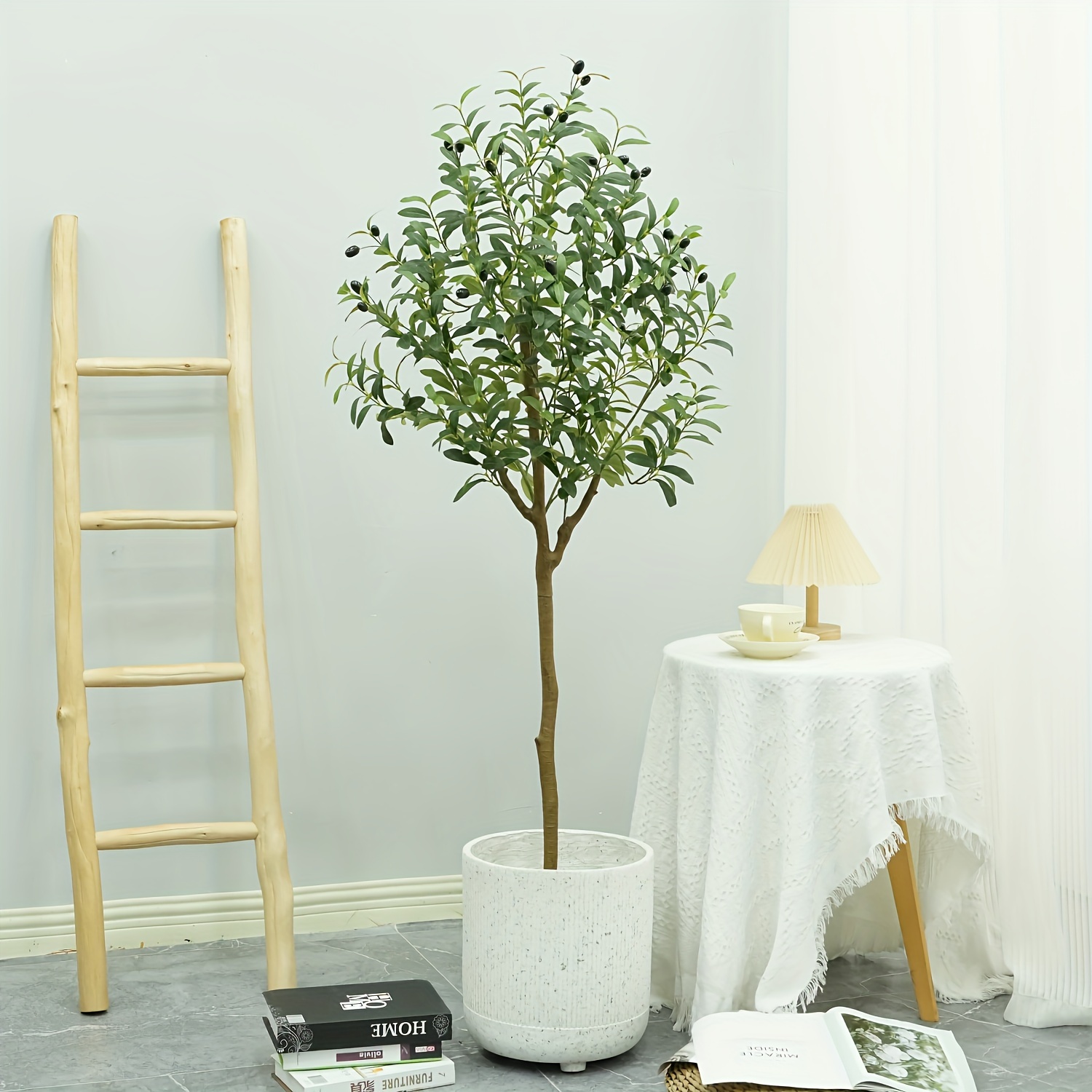 japanische stechpalme hecke kaufen Japanische Stechpalme Dark Green (Ilex crenata) | 20-30 cm im Topf