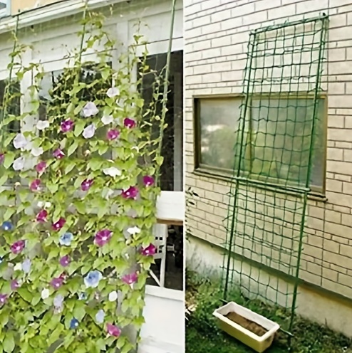 pflanzen kletternetz grn garten netz mesh 35.43inch x - Temu Germany