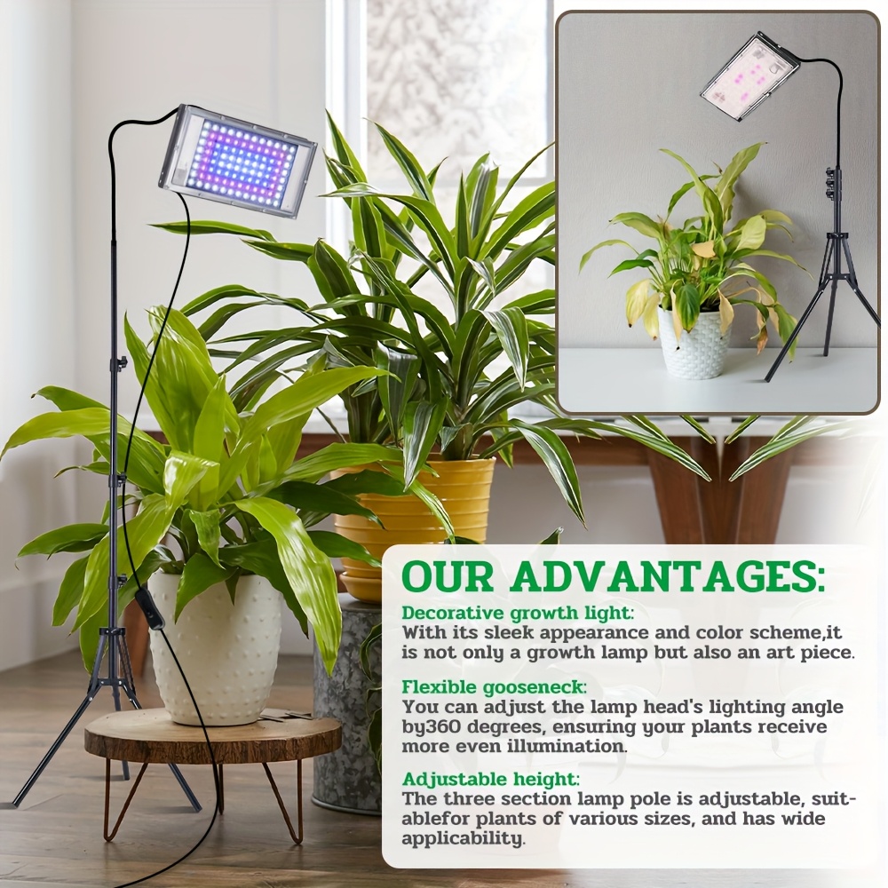 indoor house plants online The Pet-Friendly Bundle Houseplants