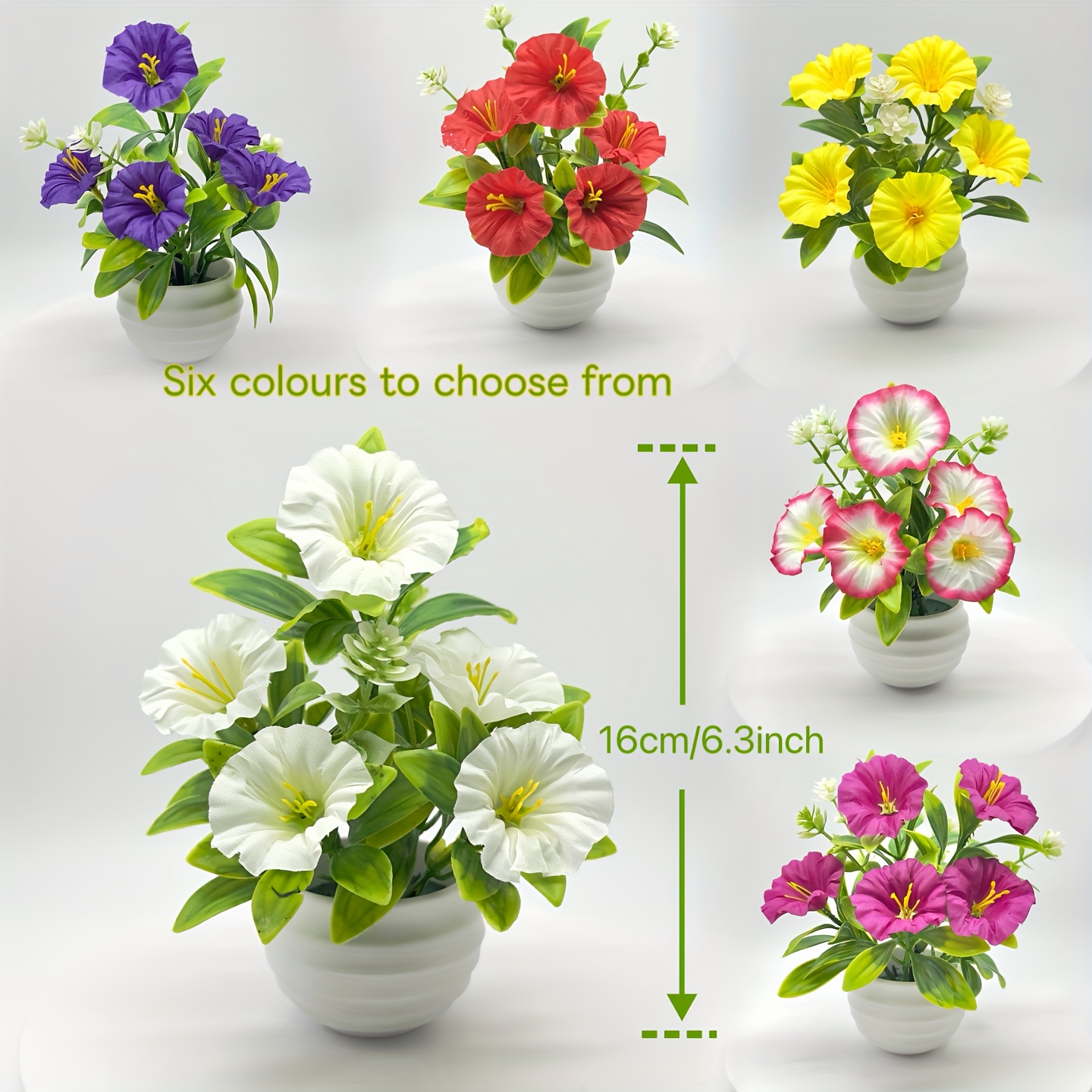 1/6 Set Morning Glory bloemen met pot