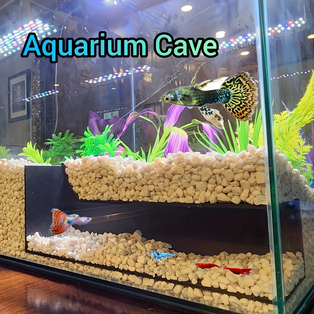 are box fish poisonous Boxfish - Animal Facts for Kids