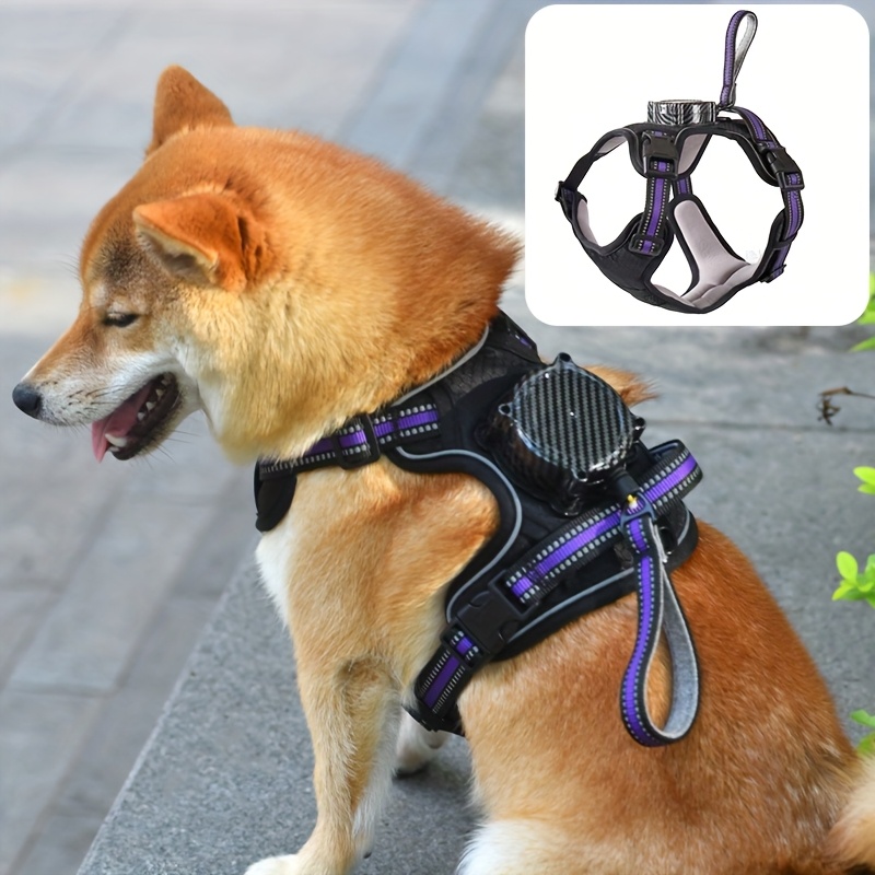 All-in-One Dog Harness, Collar, and Leash Set