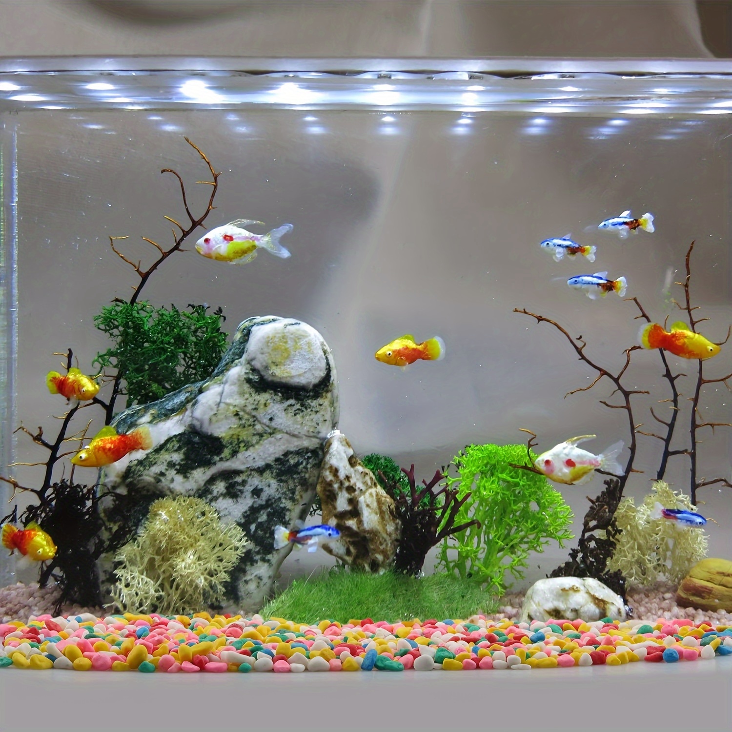 WAYBER Piedras blancas decorativas de 1 libra/16.23 oz de arena para  acuario/tanque de tortugas de peces/relleno de florero/decoración de  plantas