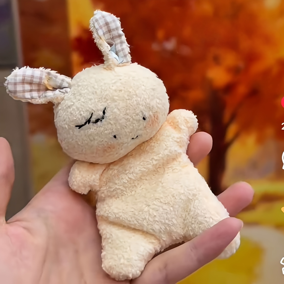TEMU 新しい小さなウサギ ティブな新しいぬいぐるみ 親友へのギフト