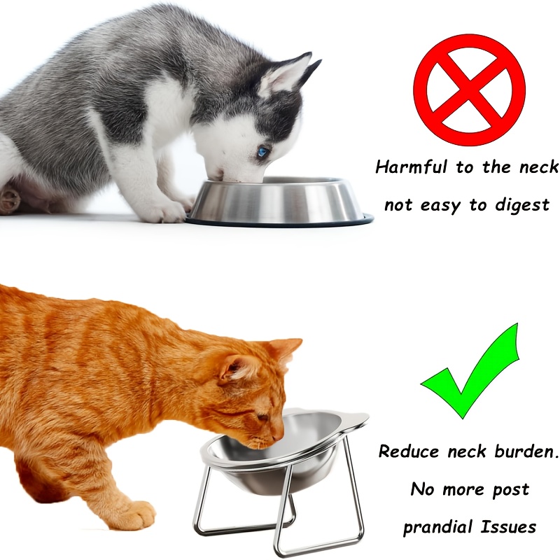 ammonia cats litter box LitterGenie for Odor Control