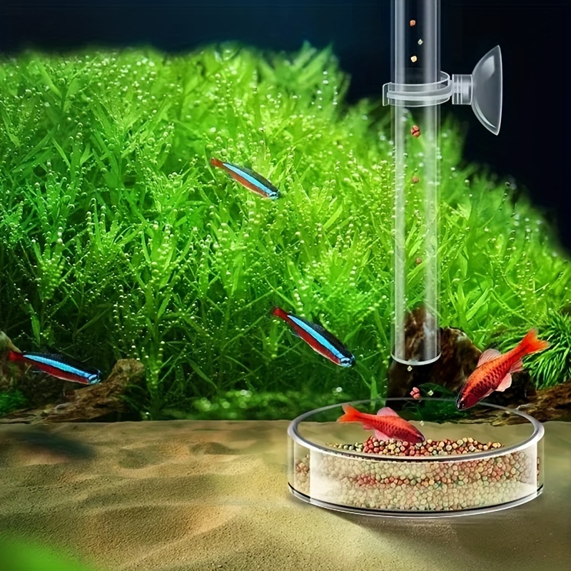Acrylic Aquarium Shrimp Feeding Tube Dish Clear Fish Tank - Temu