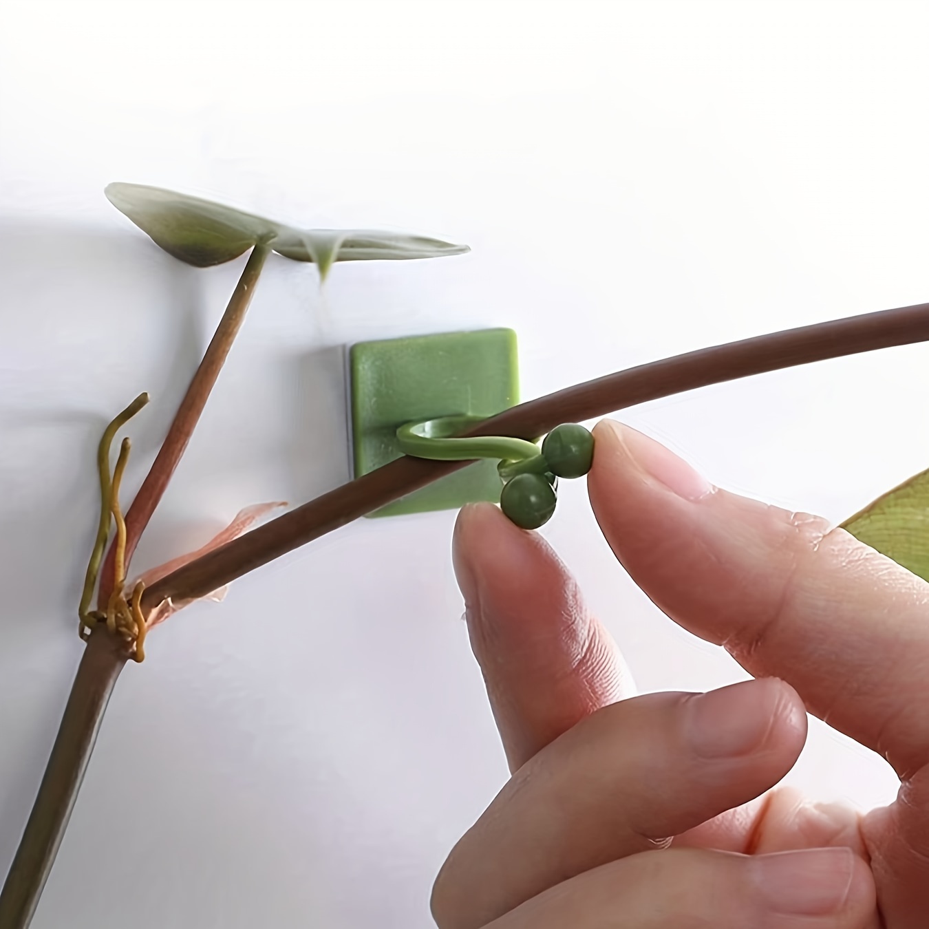 10/20/30pcs Plant Climbing Wall Fixture Clips, Self-Adhesive Hook Vines Traction Invisible Holder Supporting Wire Fixing, For Garden Wall Clip, Vines Fixing Clips Self-Adhesive Hook Plant Vine Traction For Indoor Outdoor Decoration