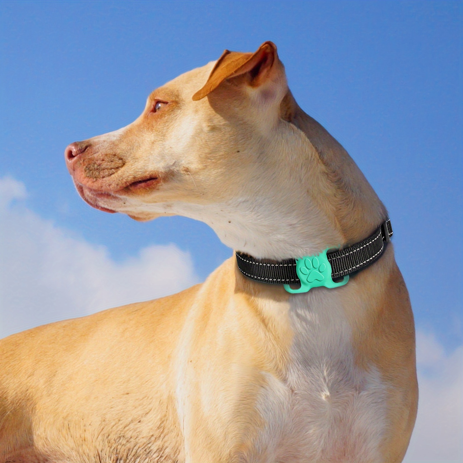 Pet collar accessories, Pack Silicone Dog Collar ID Tag Holders Elastic  Loop Accessory for Dog Cat Collars, Durable Non-Shake Protection,