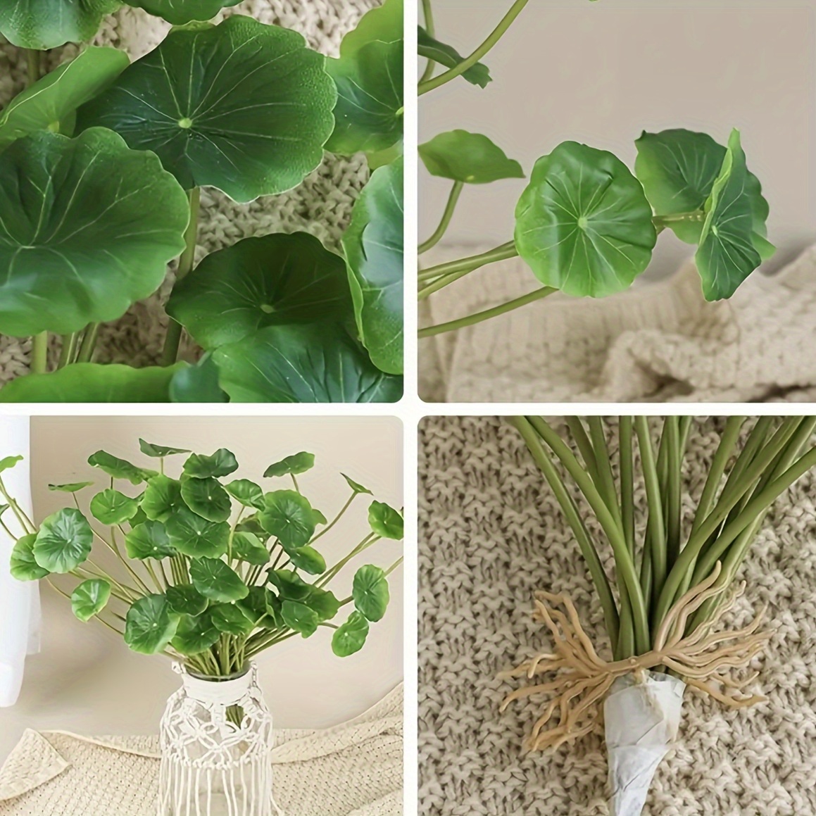 indoor house plants delivered Pet Friendly Variety Bundle