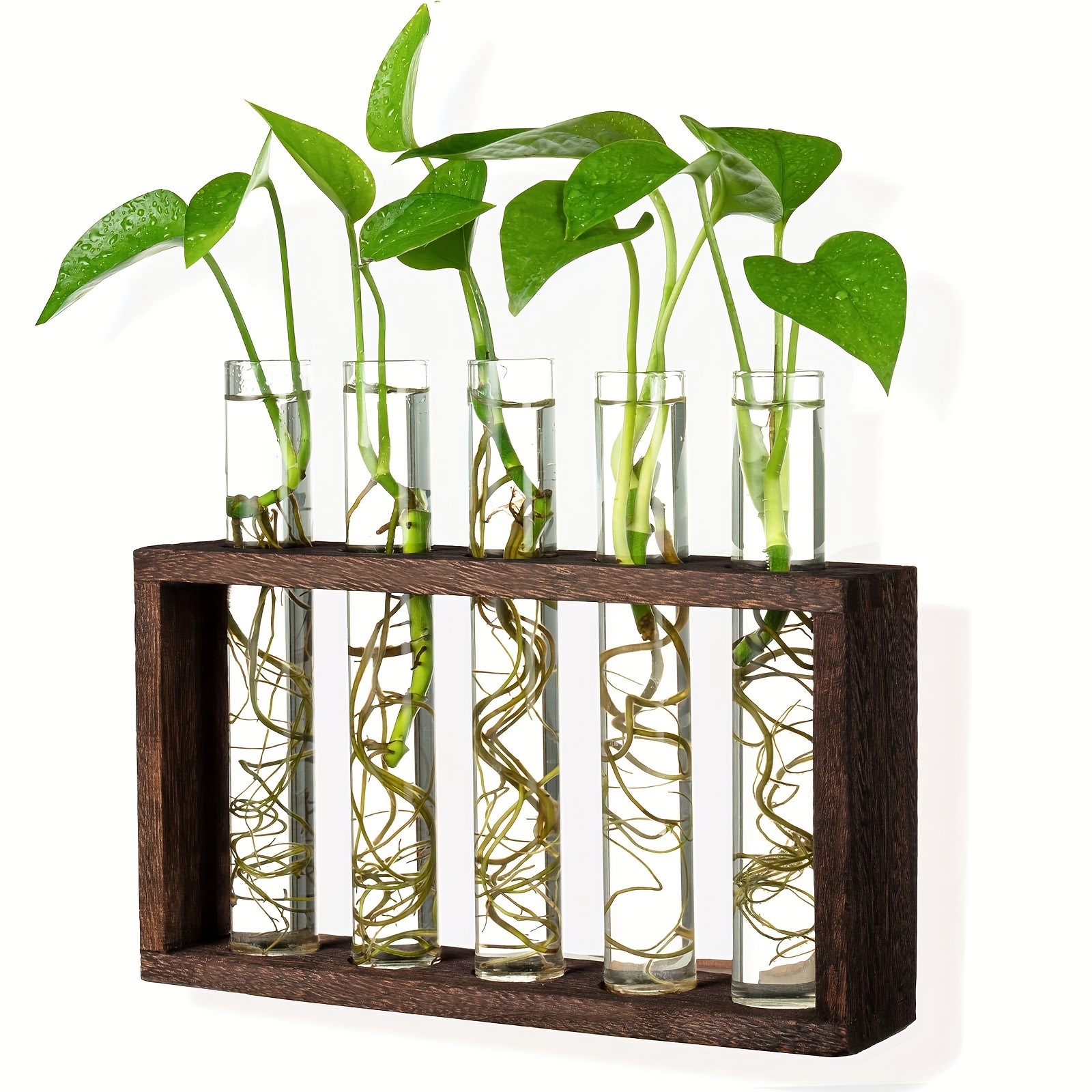 Glass Vase Rack Wall mounted Glass Test Tube - Temu