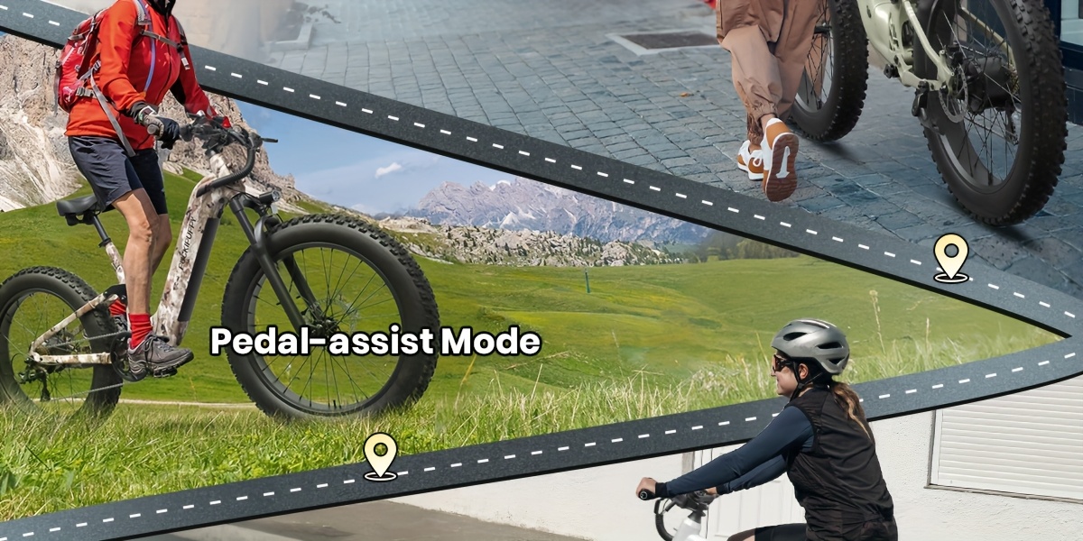 electric bike for adults rear   brushless motor, 48v 20ah battery adult electric bicycles, 26 tire full suspension   ebike,  , 80miles range, camping must haves, suitable for outdoor off-road and urban commuting(boxerst) Product details 7