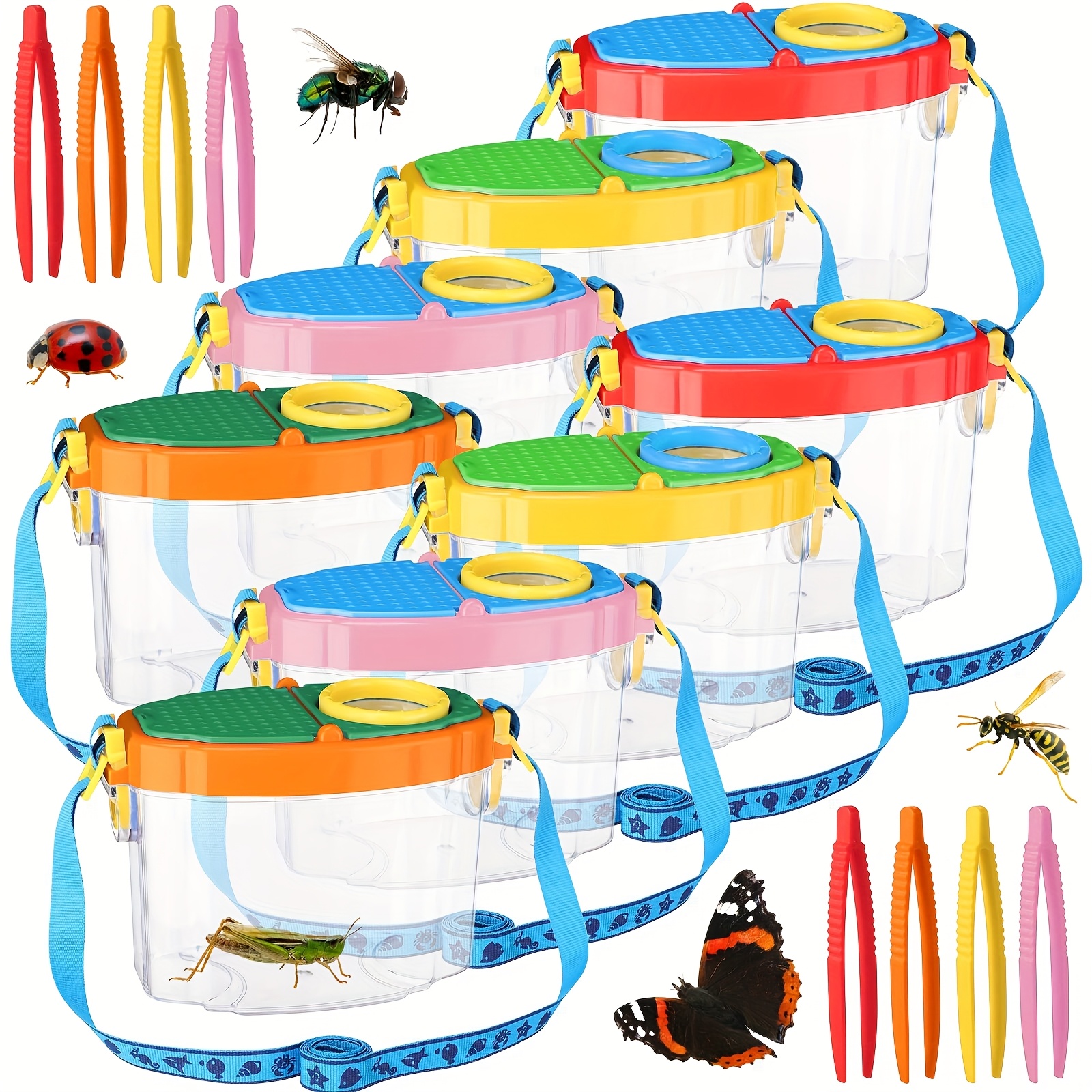Small Foot Insect Observation Box – FSC Wood With Magnifying Glass, Explorer Toy For Kids 3+ - View #9