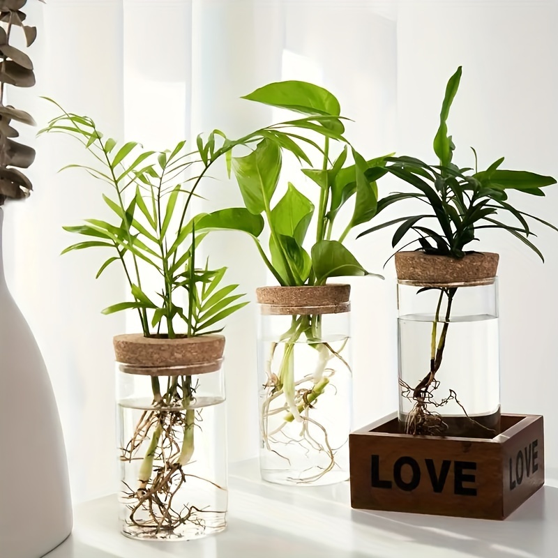 

Hydroponics Plants Desktop Glass Planter Vase For Home Decoration, Plant Propagation Station Bud Vase, Desktop Hydroponics Plant Vases For Living Room Table Decoration Kitchen Office