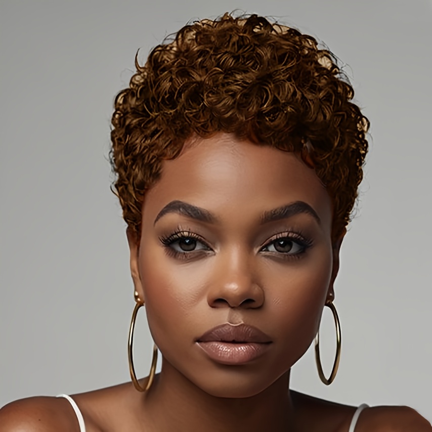 TEMU Nicelatus Short Brown Afro Curly Wig Short Hairstyles Short Cut Curly Wig Synthetic Wigs For Women Short Hair Wigs For Halloween, Christmas Party, Music