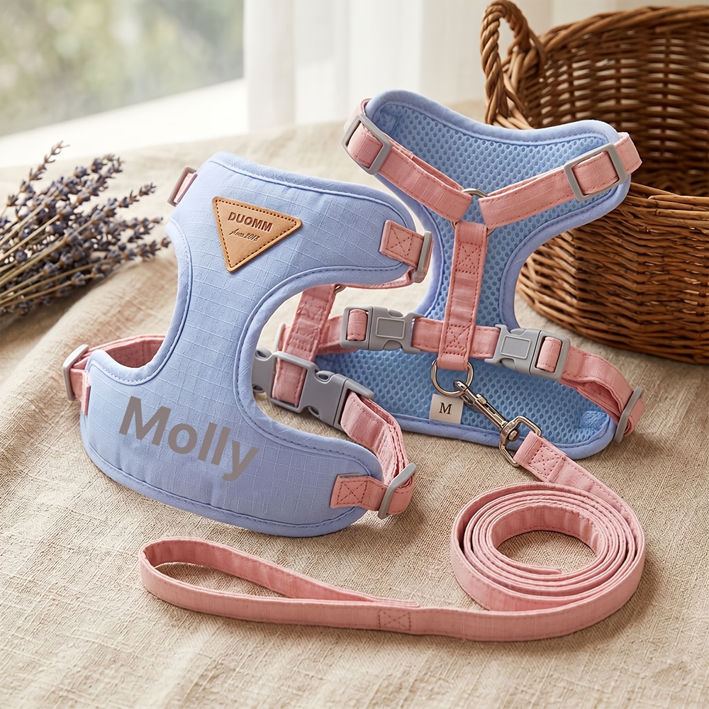 TEMU Pettorina e guinzaglio per animali domestici personalizzati con /testo - Pettorina tipo gilet - per cani con guinzaglio, pettorina morbida