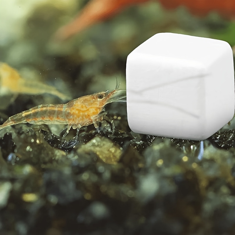 6 Natural Calcium Stones And Mineral Blocks - Calcium Carbonate, Smooth Edges Suitable for Shrimp, Hermit Crabs, Turtles, Snails, Frogs - Aquarium And Glass Cover Decoration - a Source of Calcium Supplement for Healthy Shell Growth And Ph Balance