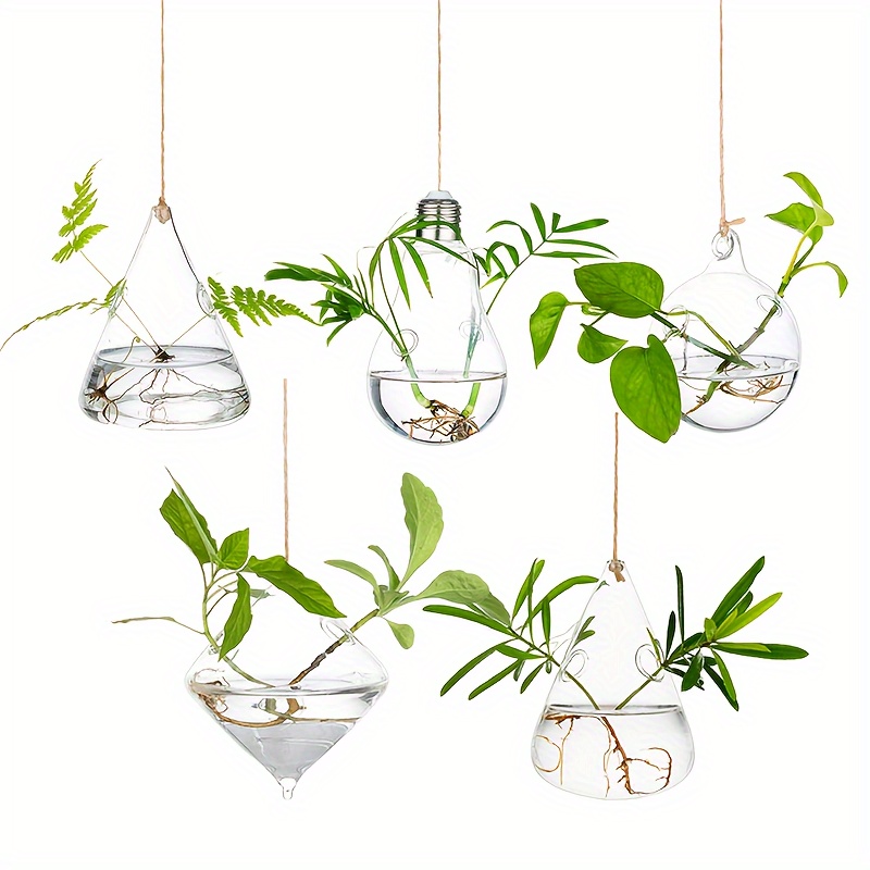 Image of 5pcs Air Plant Hydroponic Wall Vase, Glass Bundle Modern Breeding Station, Hanging Glass Flowerpot, , Indoor, Window, Home Decoration