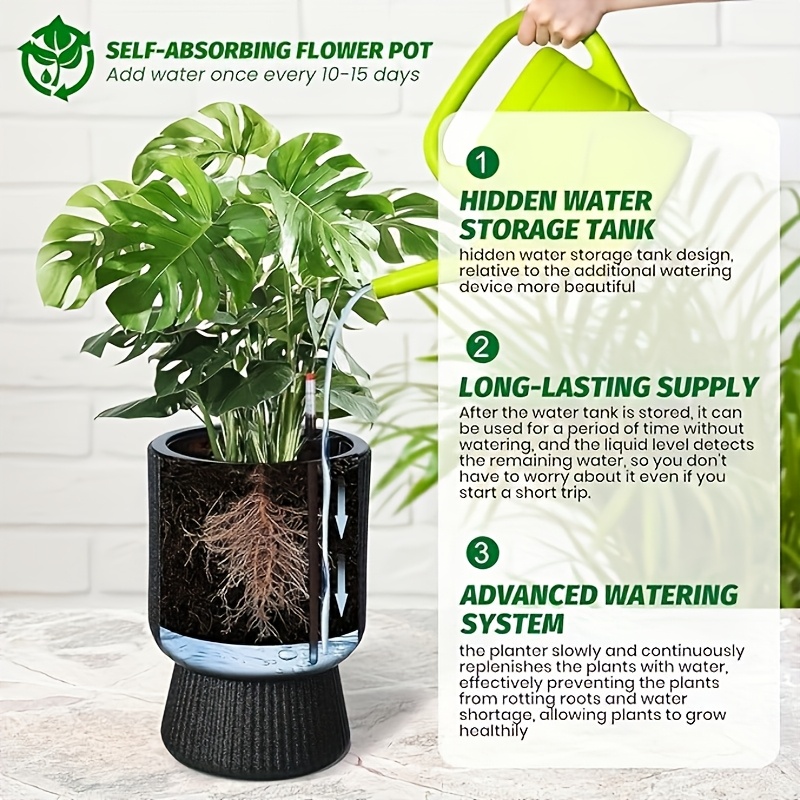 planting sunflower seeds in pots My First Garden Windowsill Grow Kit for Kids Sunflower Tomato (2 Pack)   Buzzy Seeds