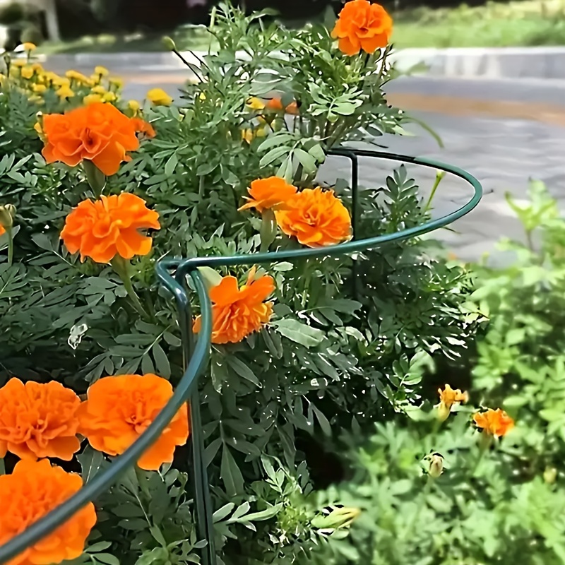 6/8 stck hohe pflanzensttze, metall halbkreis gartenpflanzring fr  pfingstrosen kfige rankengewchse tomaten hortensien grne untersttzungen  innen- & auenbereich blumenaccessoires mehrere gren 25cmx40cm, 25cmx60cm  ideales geburtstagsgeschenk an ...