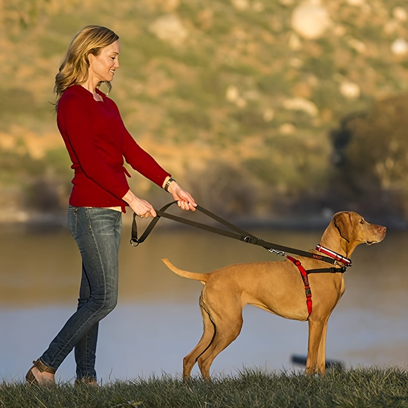 Adjustable Control Dog Lead Leash, Strong Double Ended Rope
