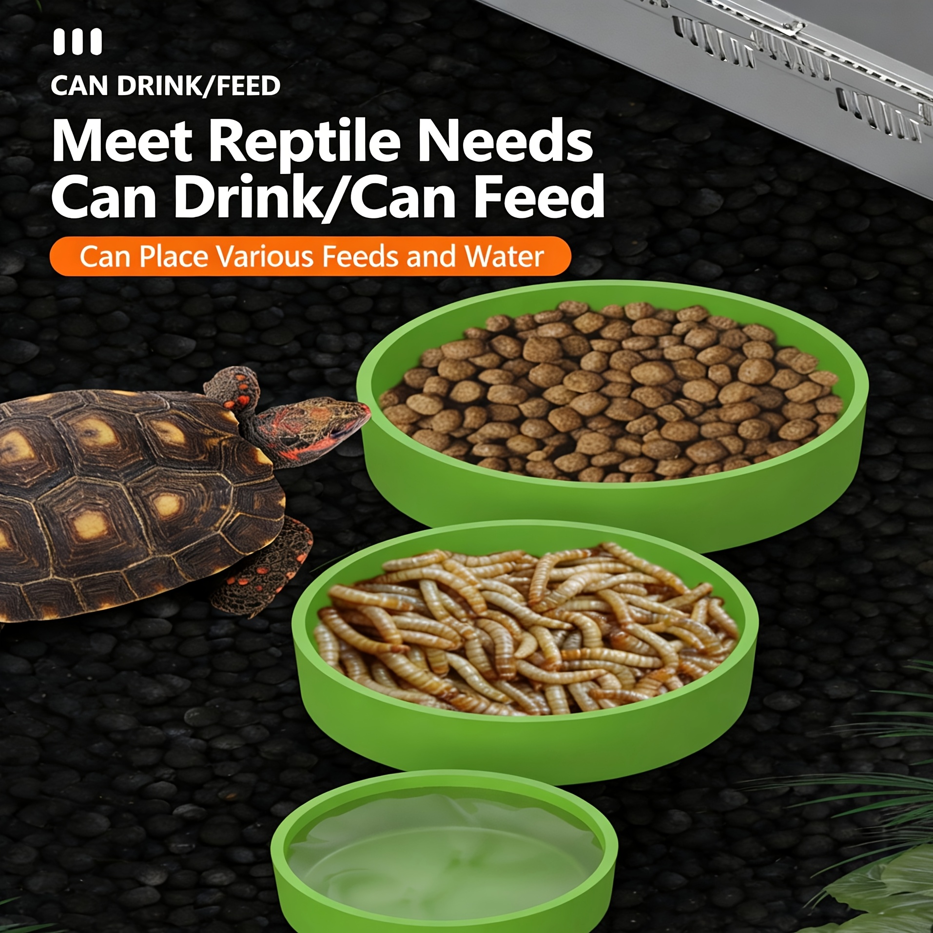 Reptile Feeding Small Scale Monitor Lizard Snake Rainforest Scorpion Spider Pet Reptile Feeding Bowl Water Bowl