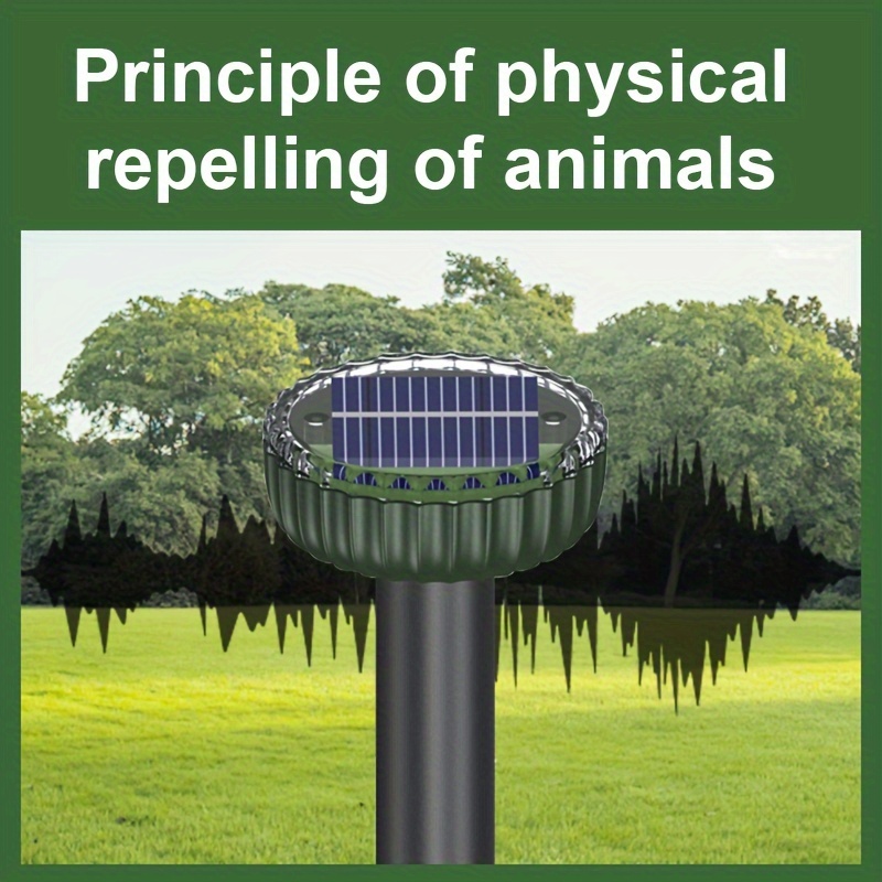 Corvo Scaccia Piccioni Dissuasori Per Piccioni Gufo - Foto 14