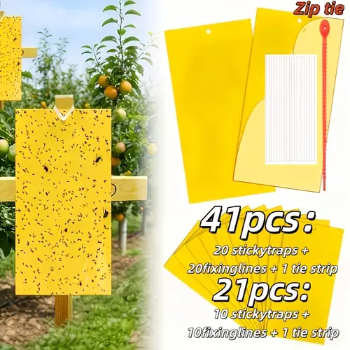 Fixed Stars fly paper sold on Temu New Zealand