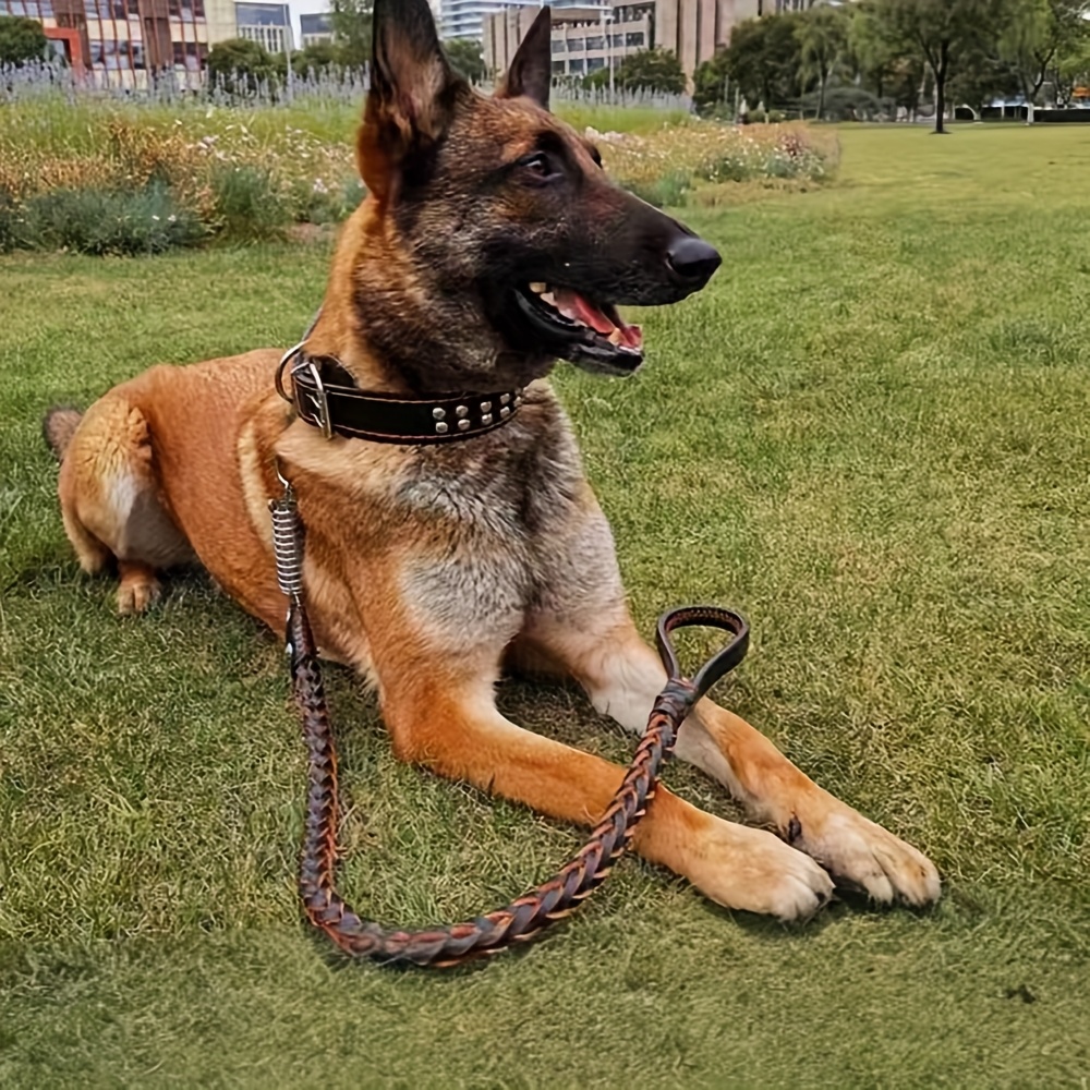 Easter Dog Training Leash for Small to Large Breeds