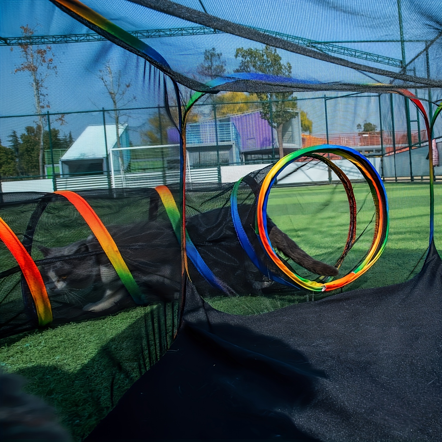 Buiten Speeltuin voor Katten, Indoor Speeltent Regenboog, Ronde Speeltunnel voor Katten, Geschikt voor Katten en Kleine Dieren