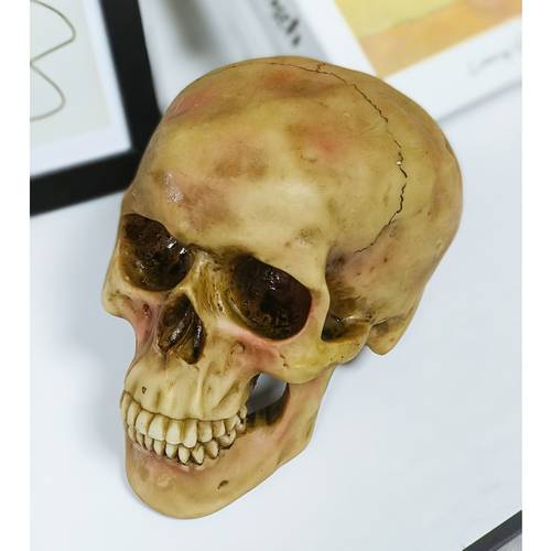 1pc realistic adult skull model for halloween party decor gothic style sculpture hand painted resin desktop ornament vintage style home tabletop display party prop unique collectible model gift