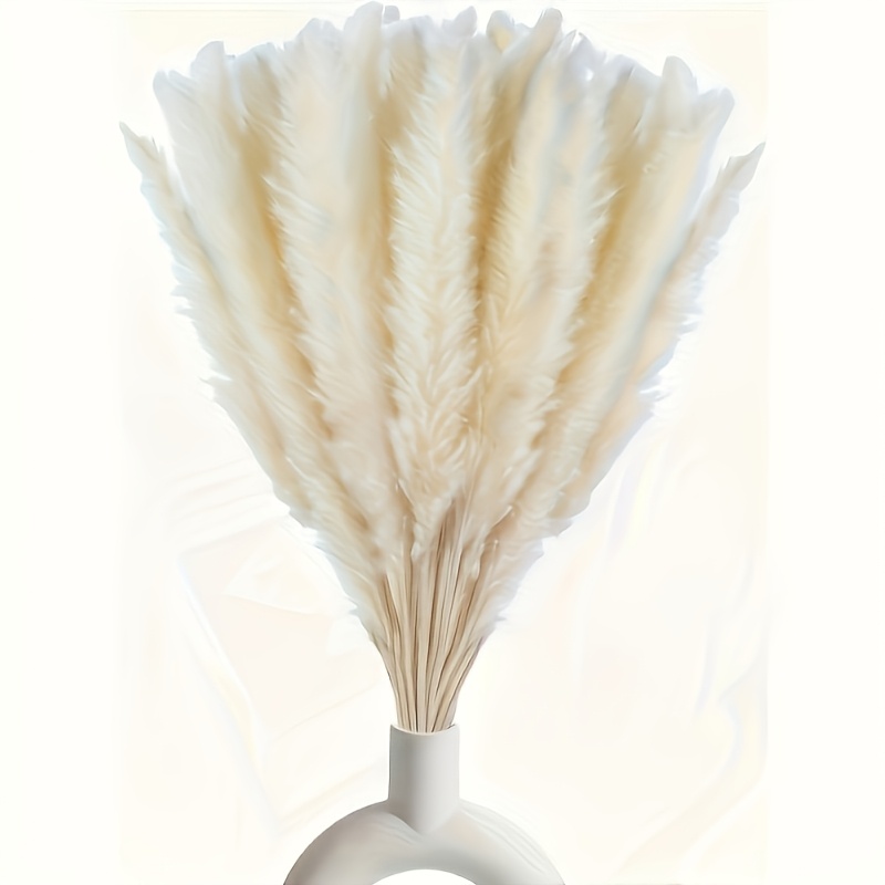 boho pampas grass sold on Temu United States
