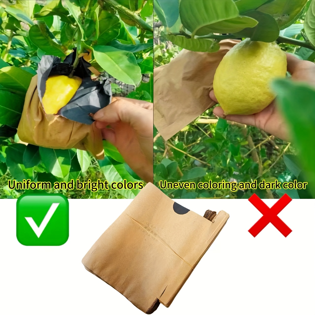 borsa frutta borsa protezione verdure e Temu Italy