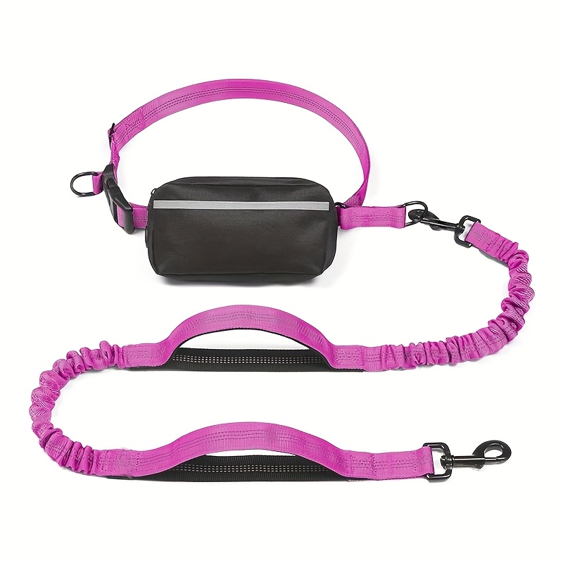Portable Reflective Dog Leash with Waist Bag